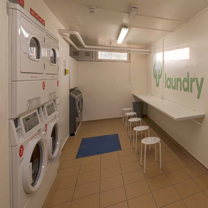 Bro-coli laundry