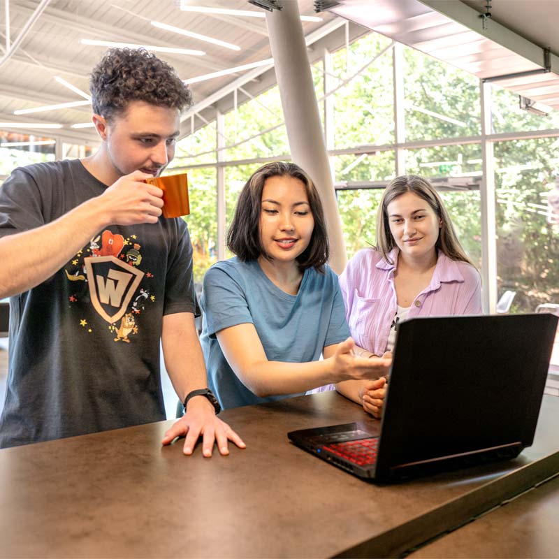 Group of friends looking at a laptop