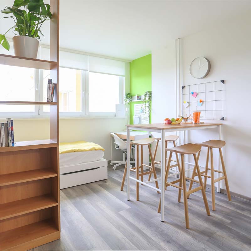 Photo of the Triple 2 rooms apartment room (Shared)